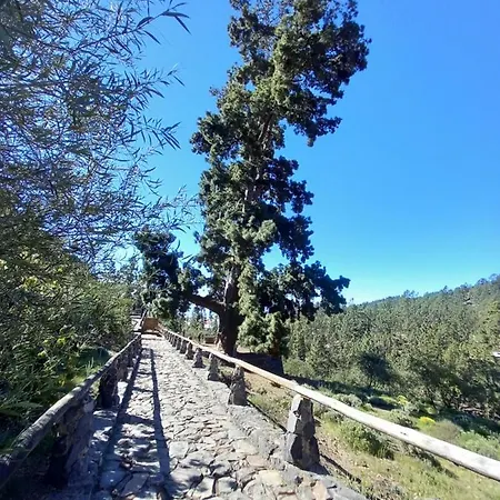 Apto. Pina De Mar Apartman Costa Adeje (Tenerife)