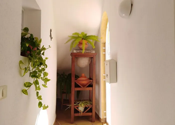 Apto. Pina De Mar * Costa Adeje (Tenerife)