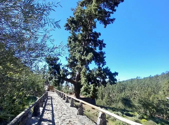 Apto. Pina De Mar 公寓 阿德耶