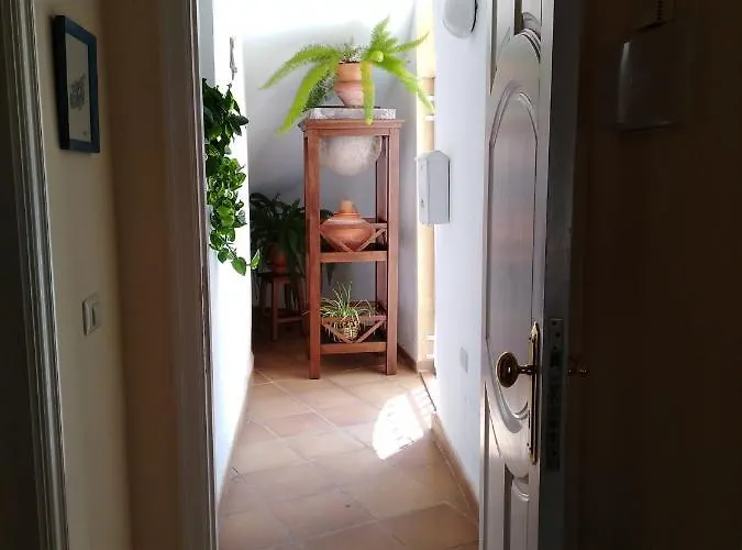 Apto. Pina De Mar 公寓 阿德耶