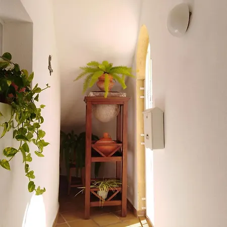 Apto. Pina De Mar * 아데제