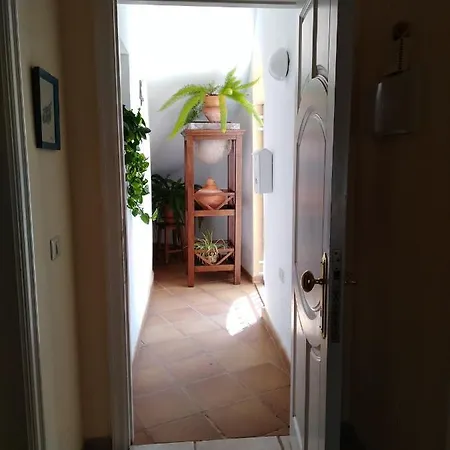 Apto. Pina De Mar Apartment Costa Adeje (Tenerife)